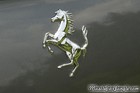 Gray Ferrari California Rear Horse Emblem