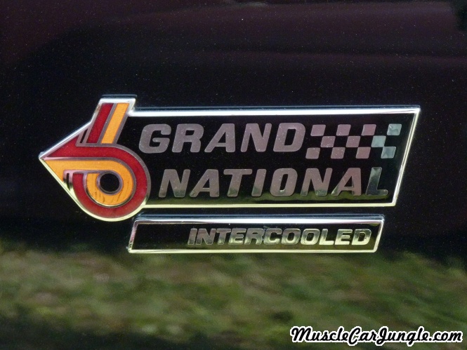 1985 Buick Grand National Fender Emblem