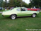 1972 Buick Skylark Right Profile