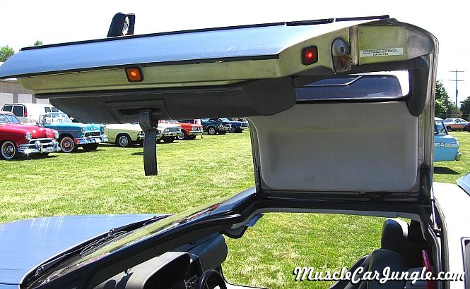 Delorean DMC Gull Wing Door