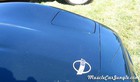 1995 Corvette Convertible Hood
