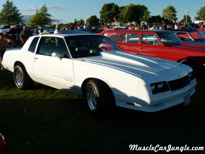 Monte Carol SS Modified Right Side