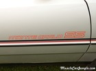 SS Monte Carlo Door Decal