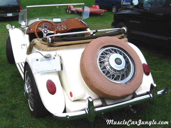 MG Tc Rear