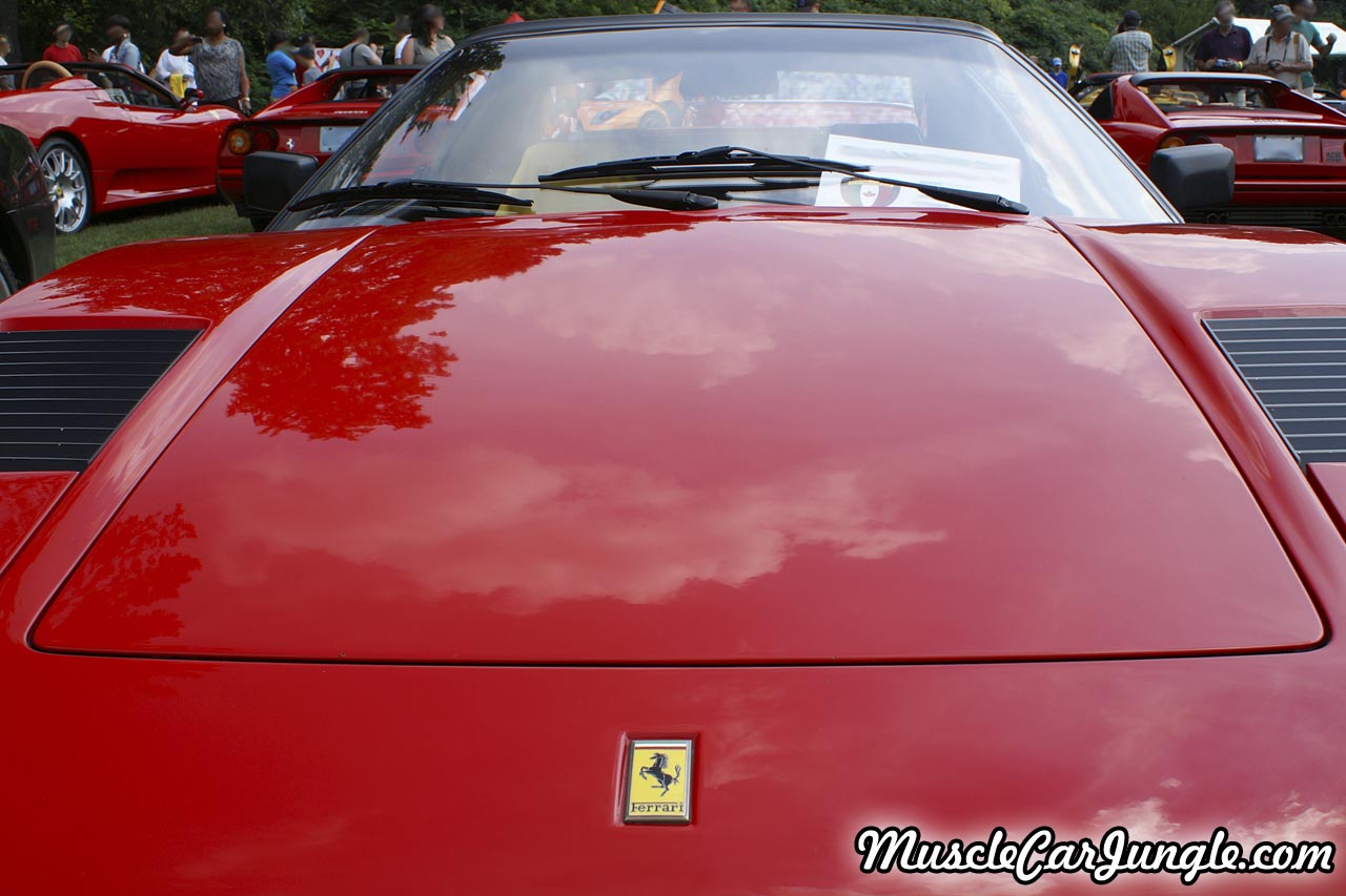 1982 308 GTSi Hood