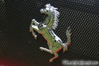 Ferrari 360 Challenge Stradale Rear Horse Emblem