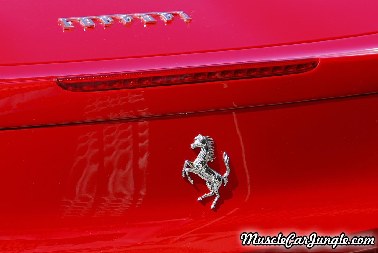 2013 458 Spider Rear Emblem