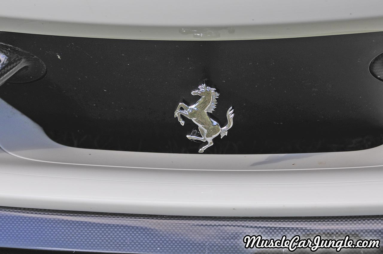 2014 Ferrari 458 Italia Front Horse Emblem