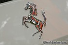 458 Speciale Rear Horse Emblem
