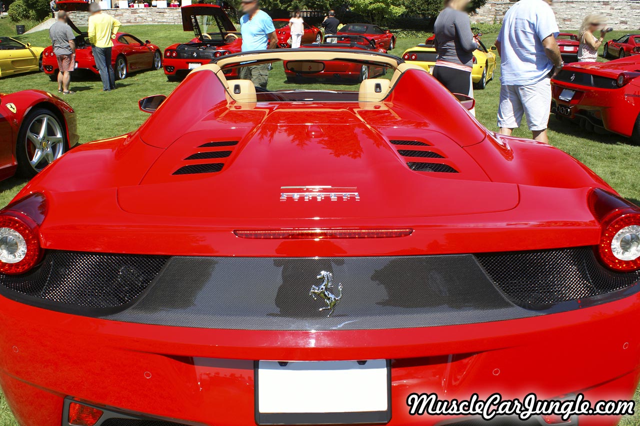 458 Spider Rear