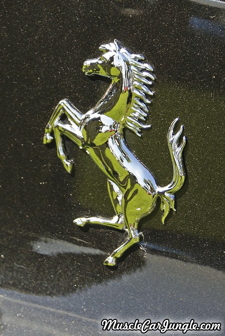 Black Ferrari 458 Spider Horse Emblem