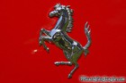 2002 575M Maranello Rear Horse Emblem
