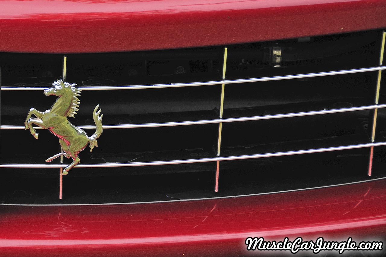 2008 599 GTB Grill Emblem
