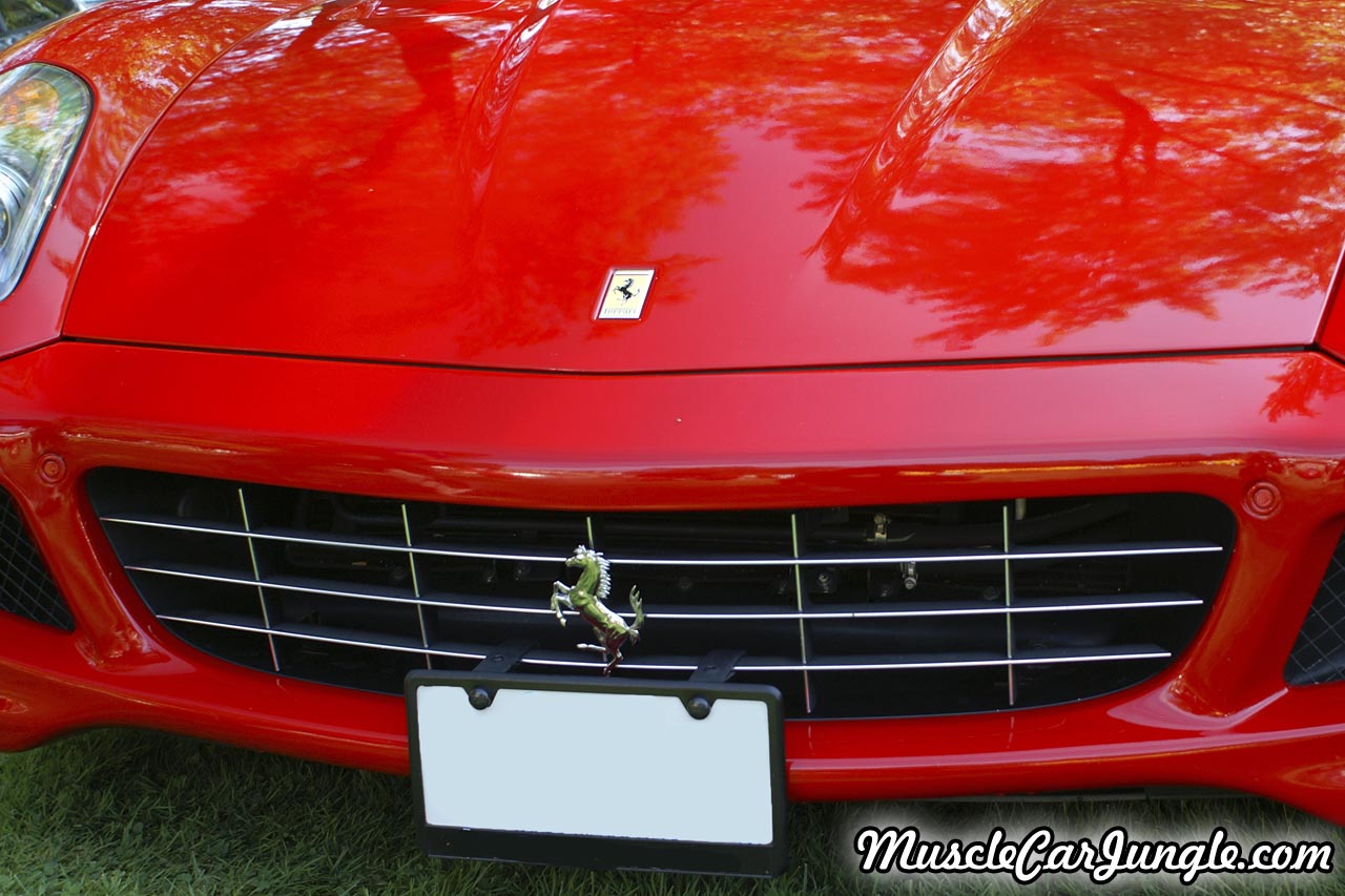Ferrari 599 GTB Grill