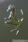 Ferrari 612 Scaglietti Rear Emblem