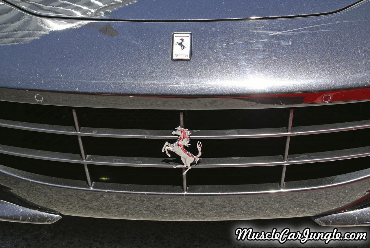 2013 Ferrari FF Grill