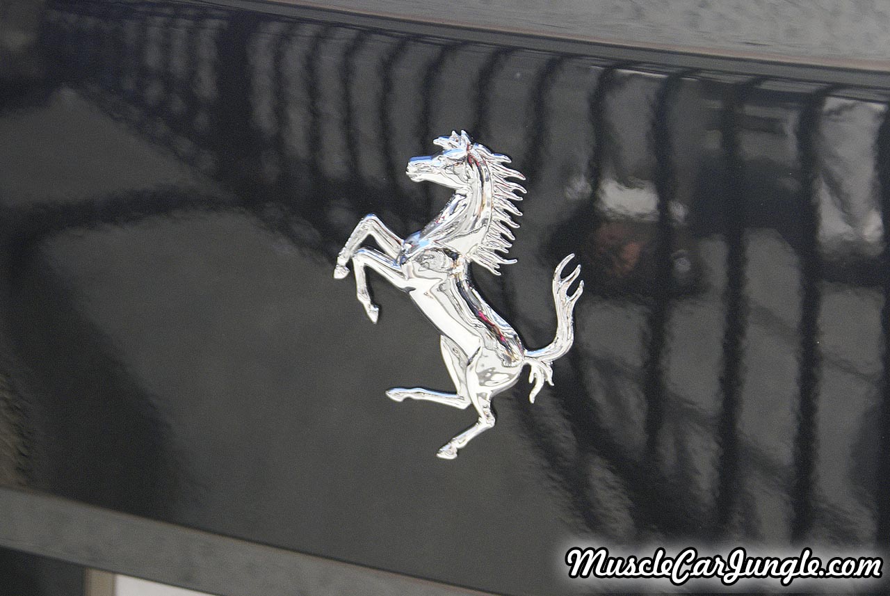 2013 Ferrari FF Rear Emblem