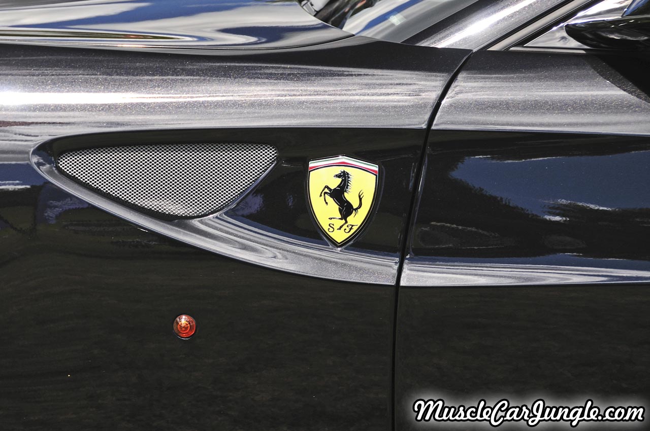 Ferrari FF Fender Vent