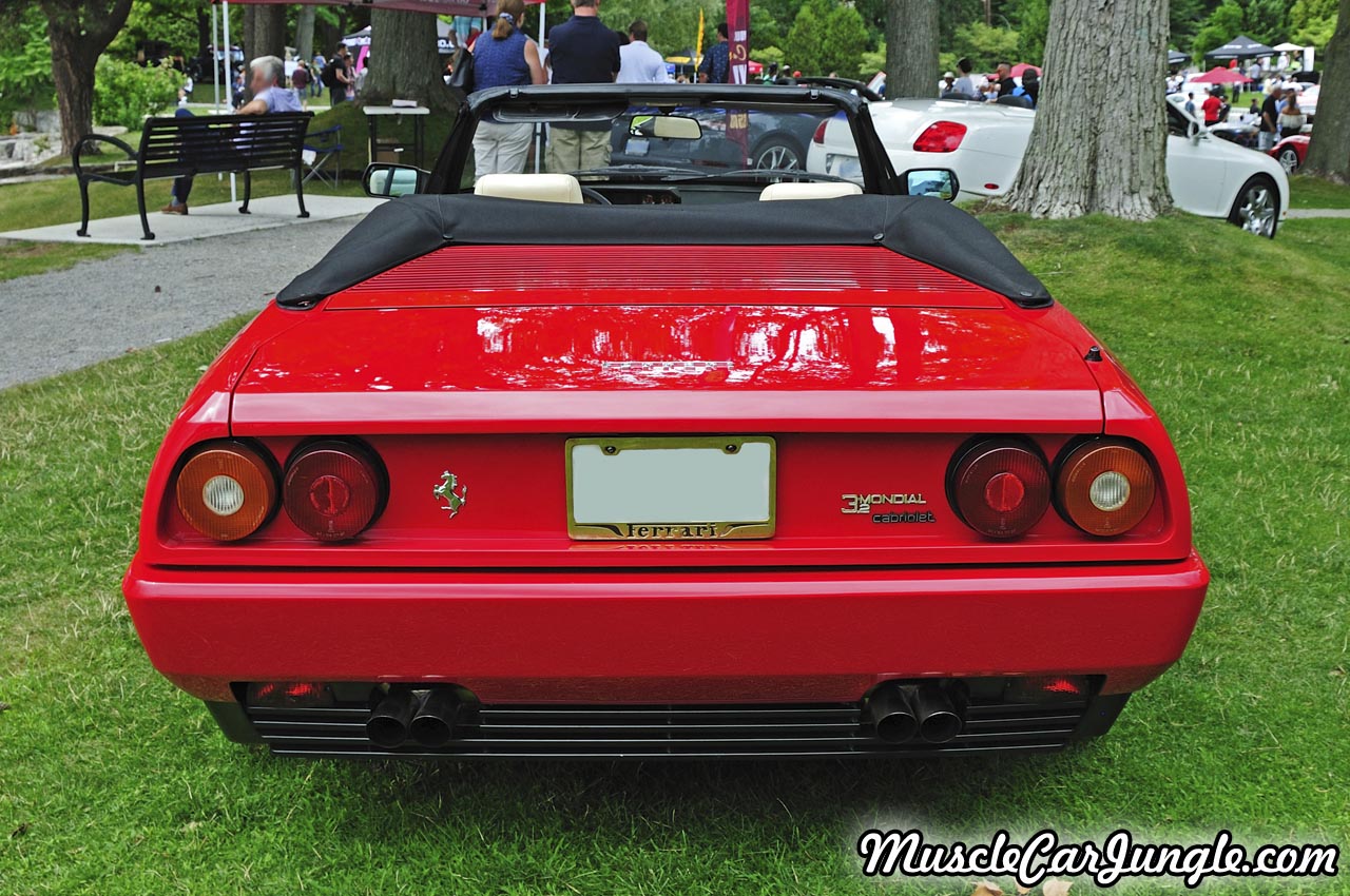 1991 Ferrari Mondial Cabriolet Rear