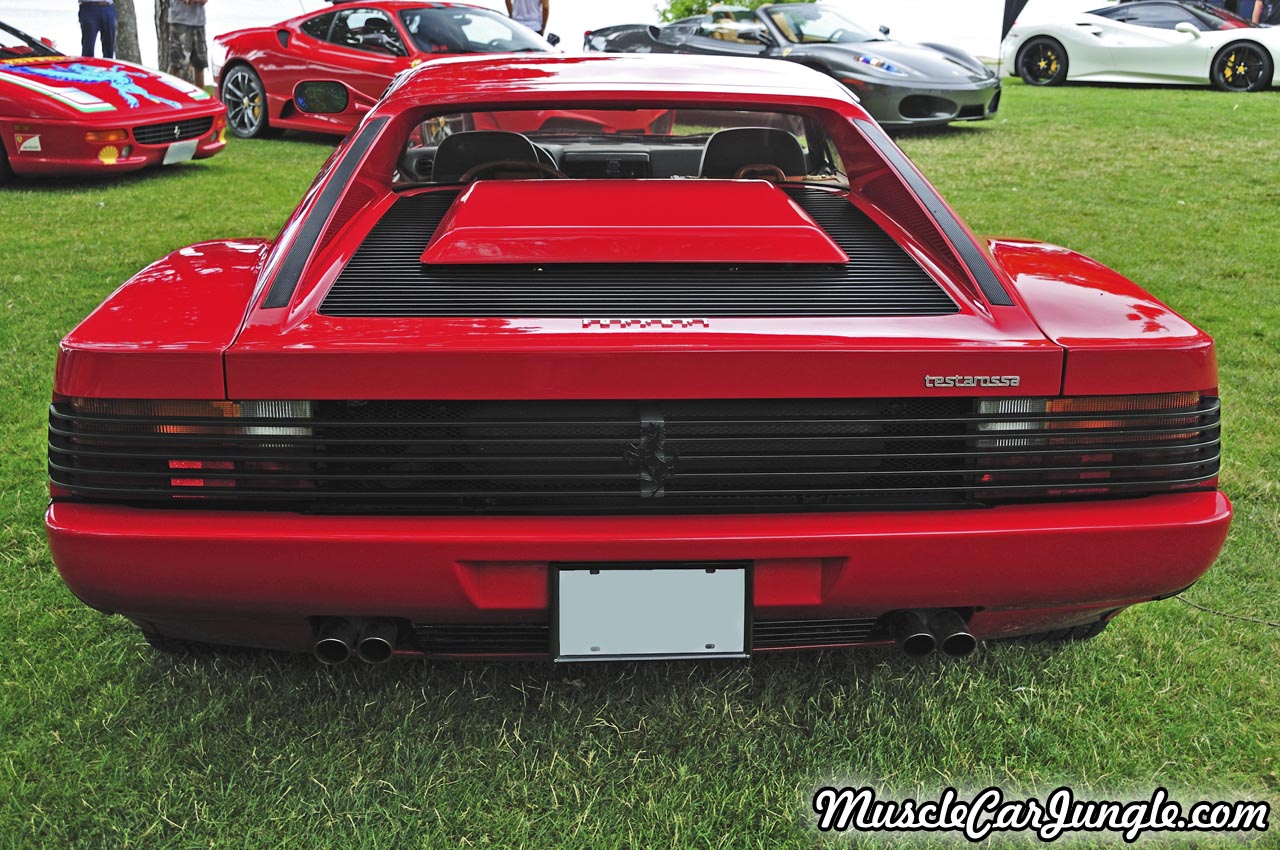 1985 Testarossa Rear
