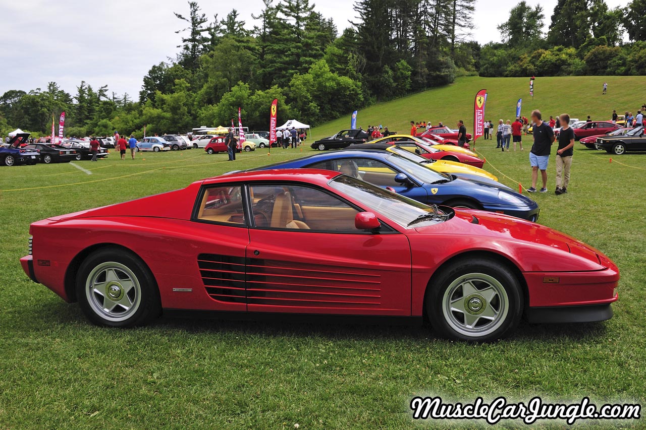 1986 Testarossa Right Profile