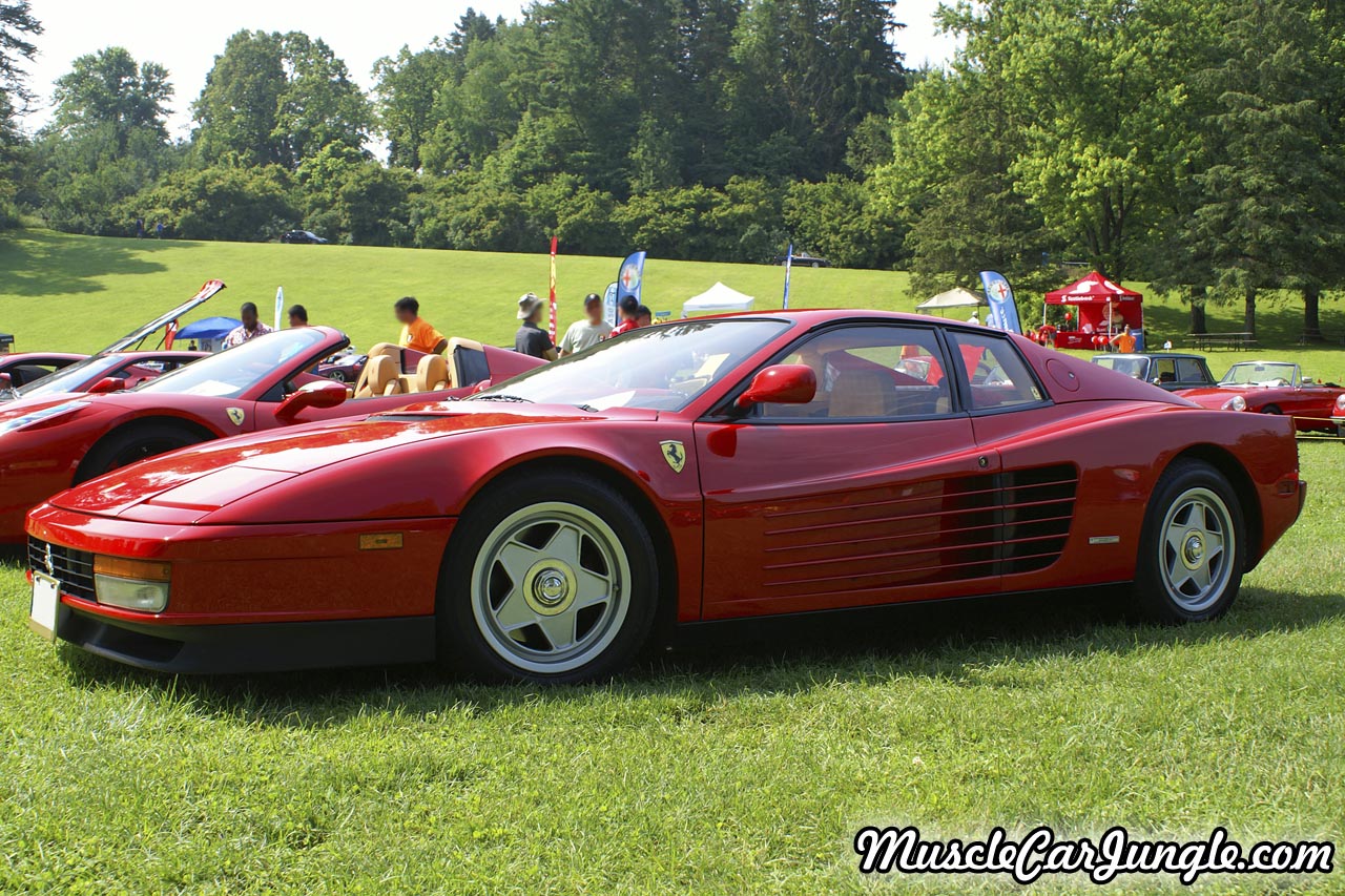 1988 Ferrari Testarossa Left Side