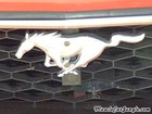 1973 Convertible Mustang Grill Emblem