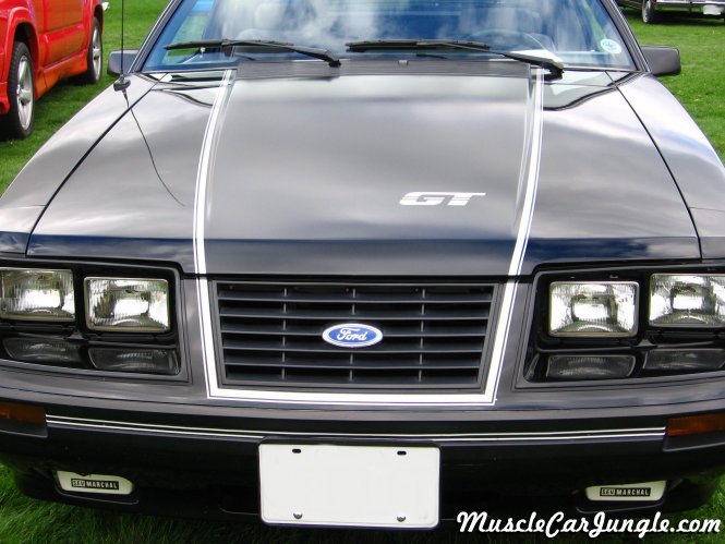 1984 Mustang GT HO Grill