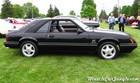 1984 Mustang GT Profile