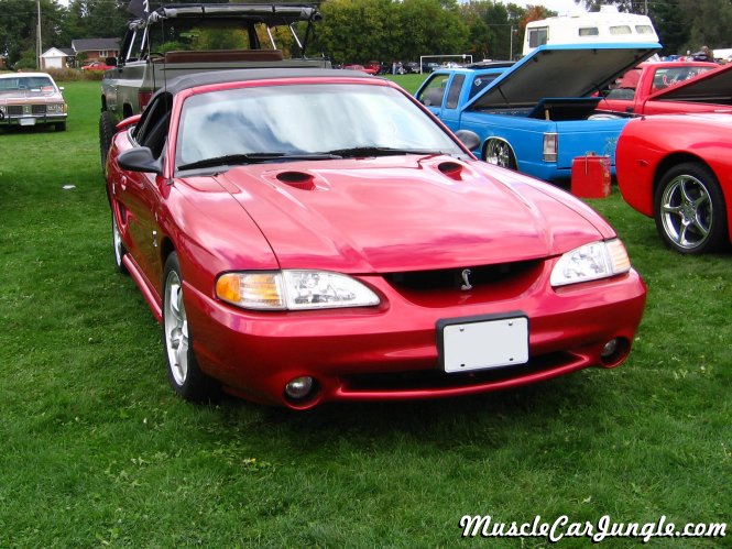 1998 Mustang Cobra SVT