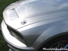 2005 Mustang GT Custom Hood