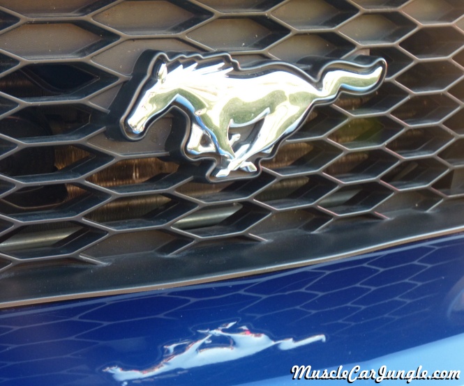 Mustang GT Cs Horse Emblem