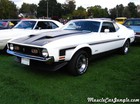 1971 Mustang Pictures