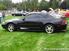 2002 Mustang Pictures