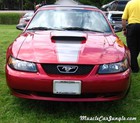 2004 Mustang Pictures