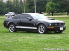2006 Mustang Pictures