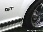 2008 Mustang GT Badge