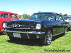 Mustang Other Years Pictures