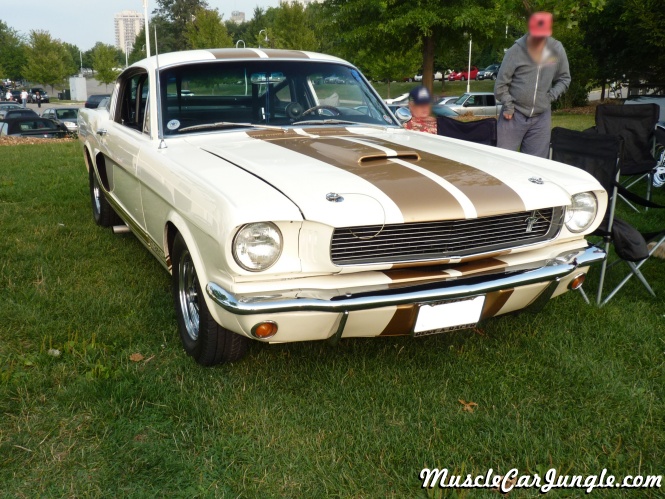 1966 Shelby GT350 Hertz