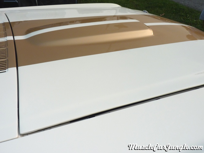 1966 Shelby GT350 Hertz Hood Scoop
