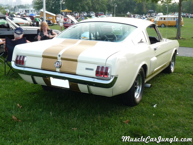 1966 Shelby GT350 Hertz Rear