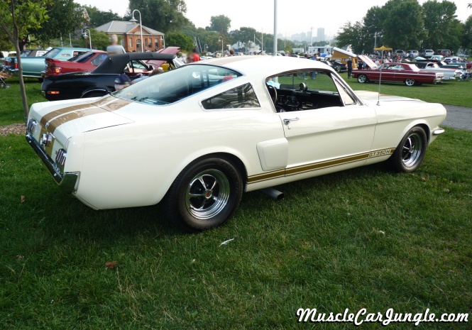 1966 Shelby GT350 Hertz Right Side