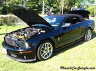 2009 Shelby Mustang Pictures
