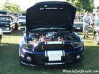 2011 Shelby Mustang Pictures