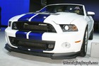 2014 Shelby Mustang Pictures