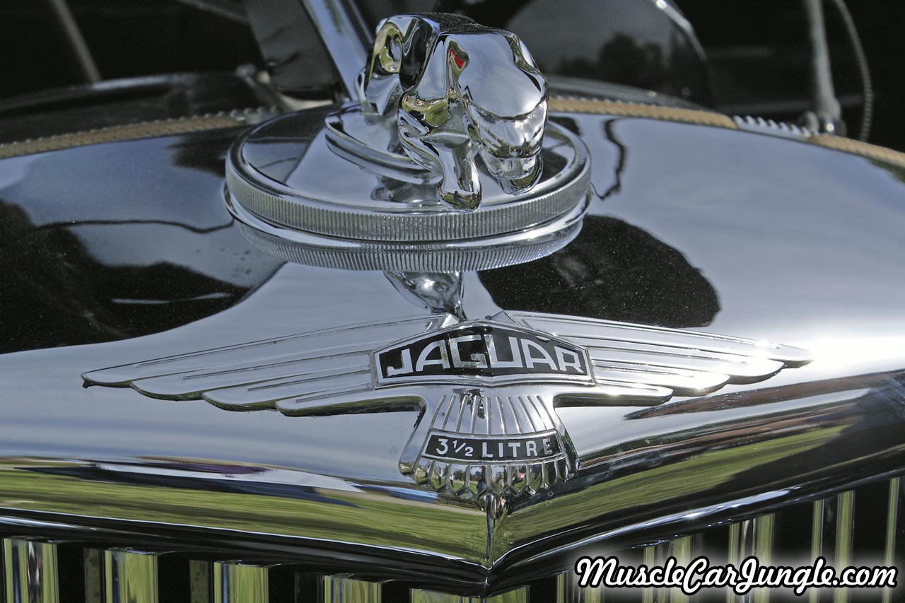 1949 Jaguar MK V Drop Head Coupe Radiator Emblem