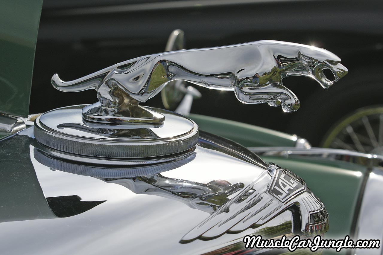 1950 Jaguar MK V Drop Head Coupe Hood Ornament
