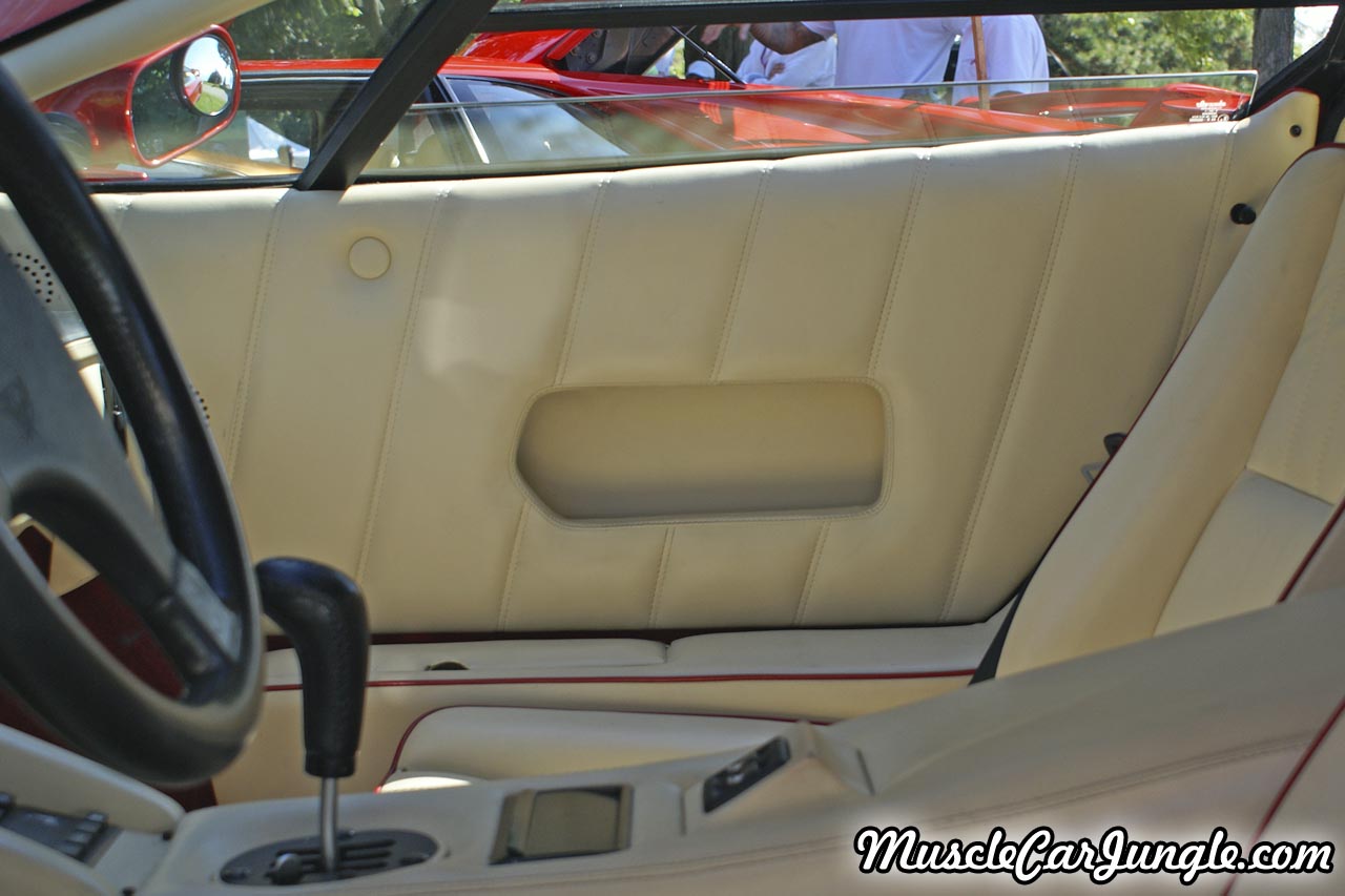 25th Anniversary Countach Door Panel