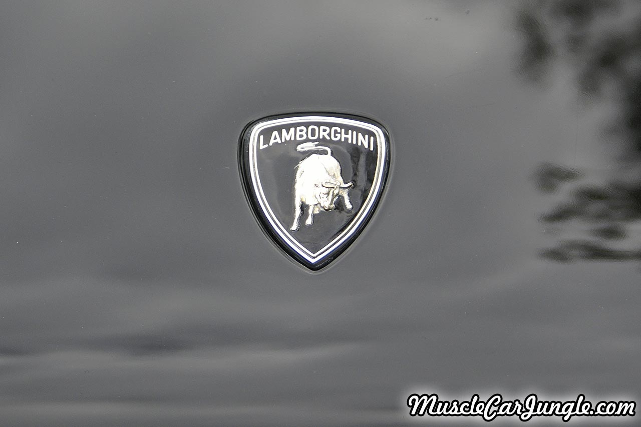 25th Anniversary Countach Front Badge