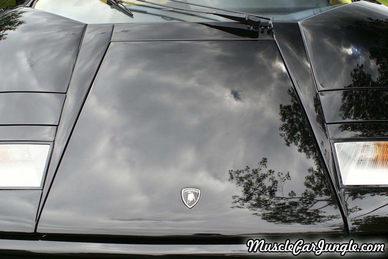 25th Anniversary Countach Hood